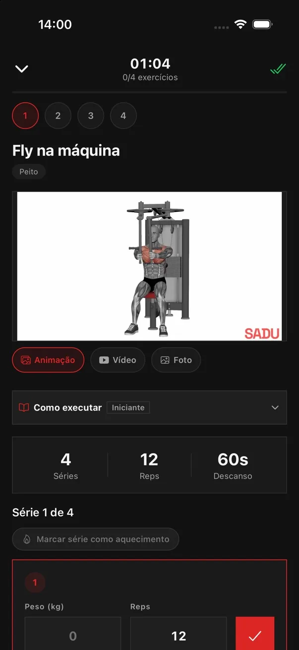 Executando, com a carga registrada — tela do app da Sadu